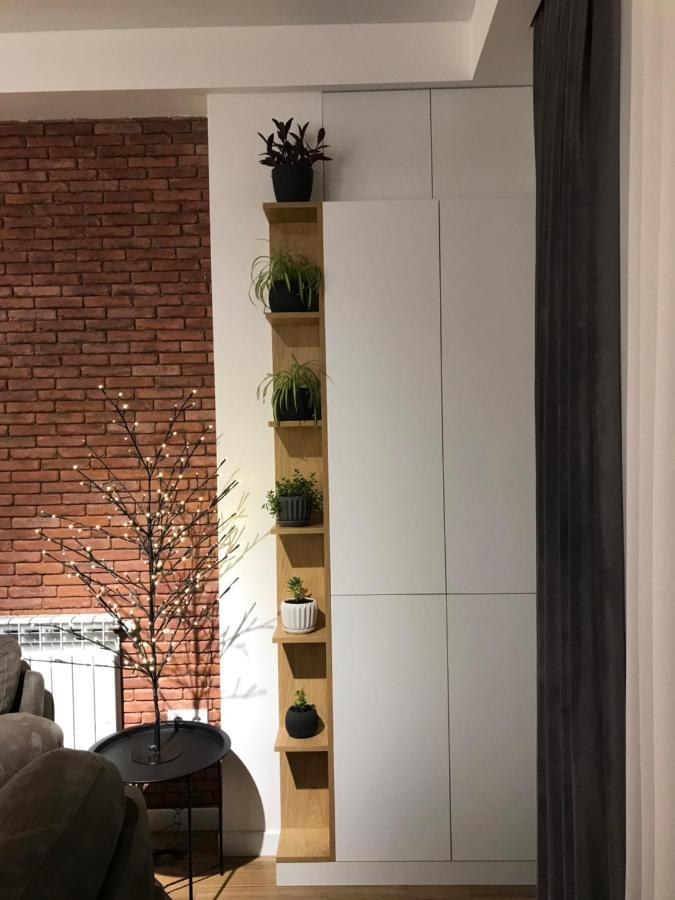 A New Apartment In The King District Kutaisi Bagian luar foto